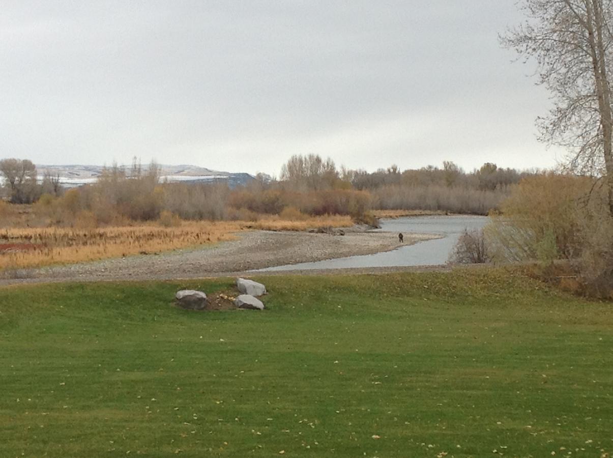 Blue Heron Inn Bed And Breakfast Rexburg Habitación foto